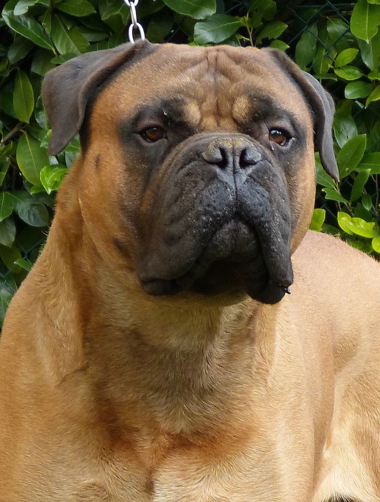 Erroll a 5 anni