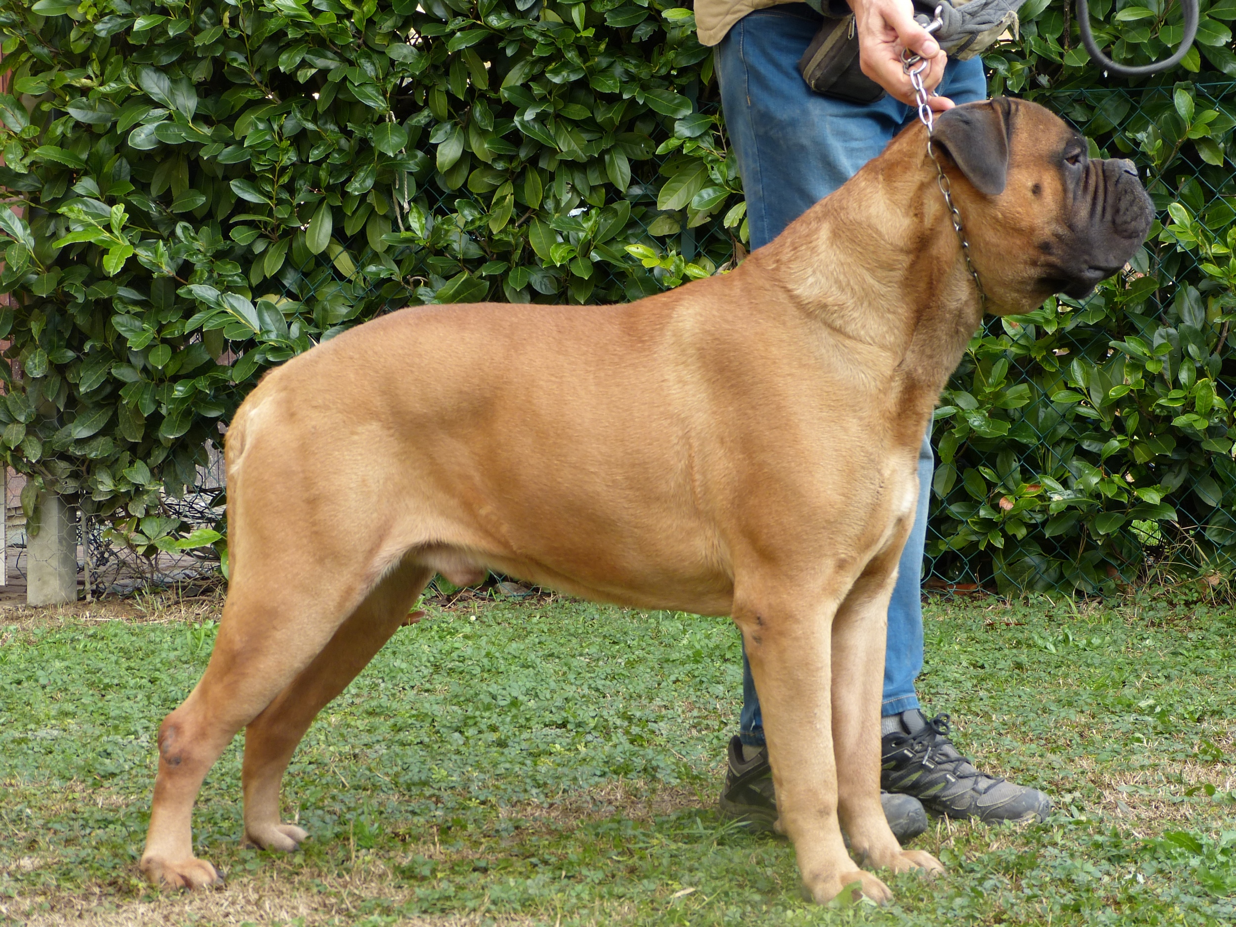 Erroll a 5 anni