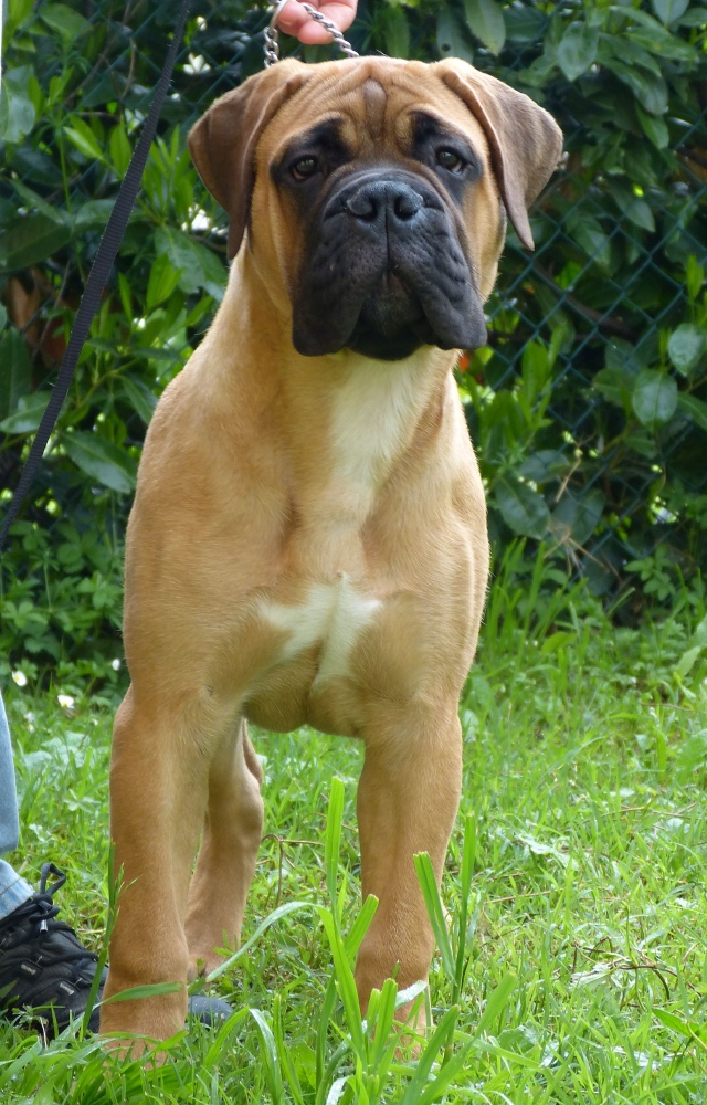 5 mesi